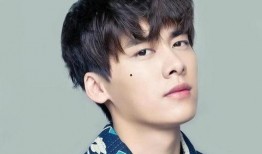 娱乐圈吃瓜李易峰是谁啊,揭秘李易峰的星光之路